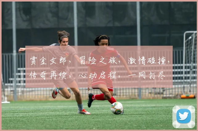 赏金女郎，冒险之旅，激情碰撞，传奇再续，心动启程，一网打尽