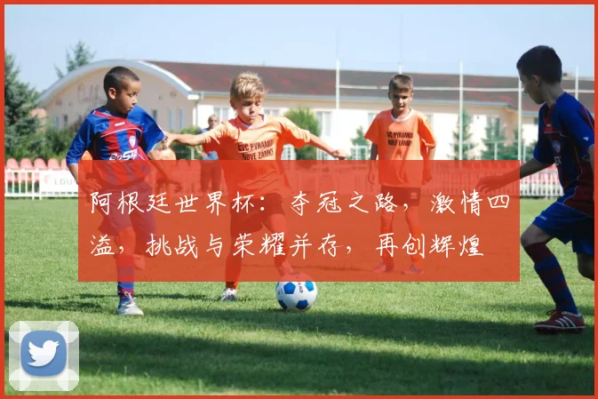 阿根廷世界杯：夺冠之路，激情四溢，挑战与荣耀并存，再创辉煌