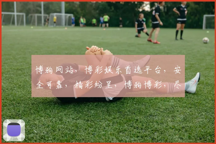 博狗网站，博彩娱乐首选平台，安全可靠，精彩纷呈，博狗博彩，尽享刺激