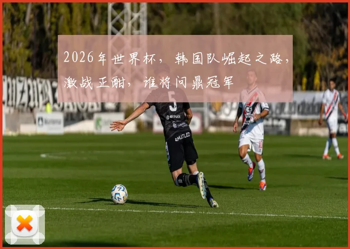 2026年世界杯，韩国队崛起之路，激战正酣，谁将问鼎冠军